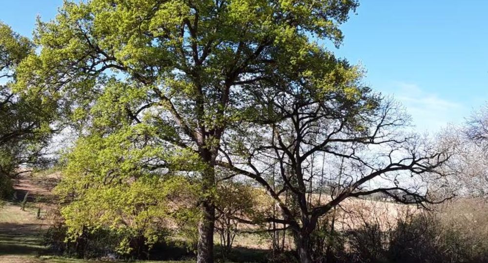 Le Baroussat_Idrac-Respaillès