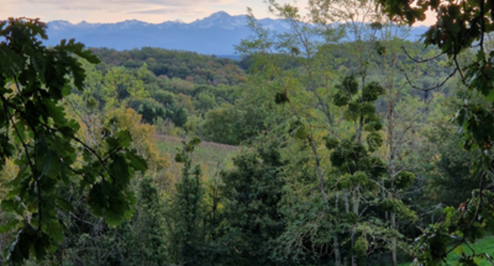 Village de Saint-Maur-Soulès_Saint-Maur