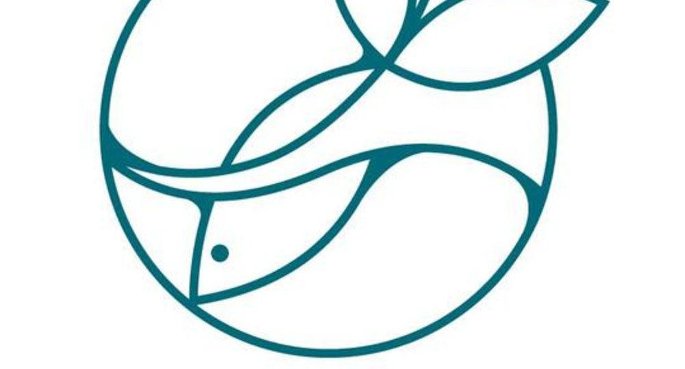 Visite de la ferme aquaponique EAUZONS !_Aux-Aussat