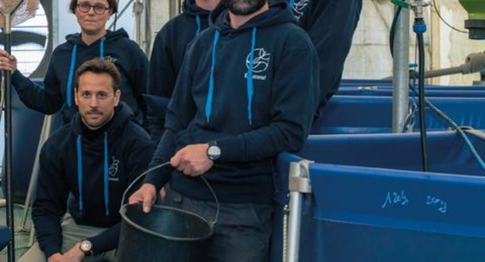 Visite de la ferme aquaponique EAUZONS !_Aux-Aussat