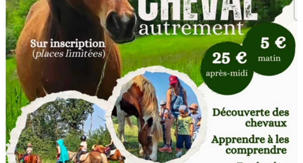 Journée portes ouvertes - cheval autrement_Saint-Christaud