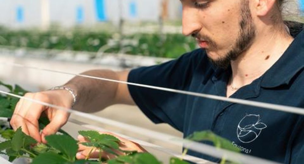 Visite de la ferme aquaponique EAUZONS !_Aux-Aussat