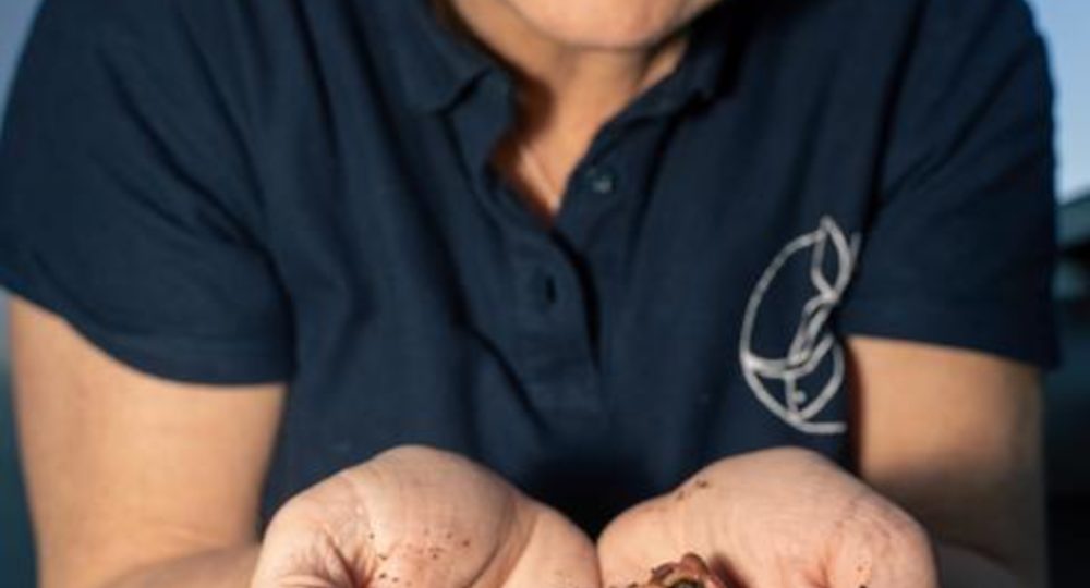 Visite de la ferme aquaponique EAUZONS !_Aux-Aussat