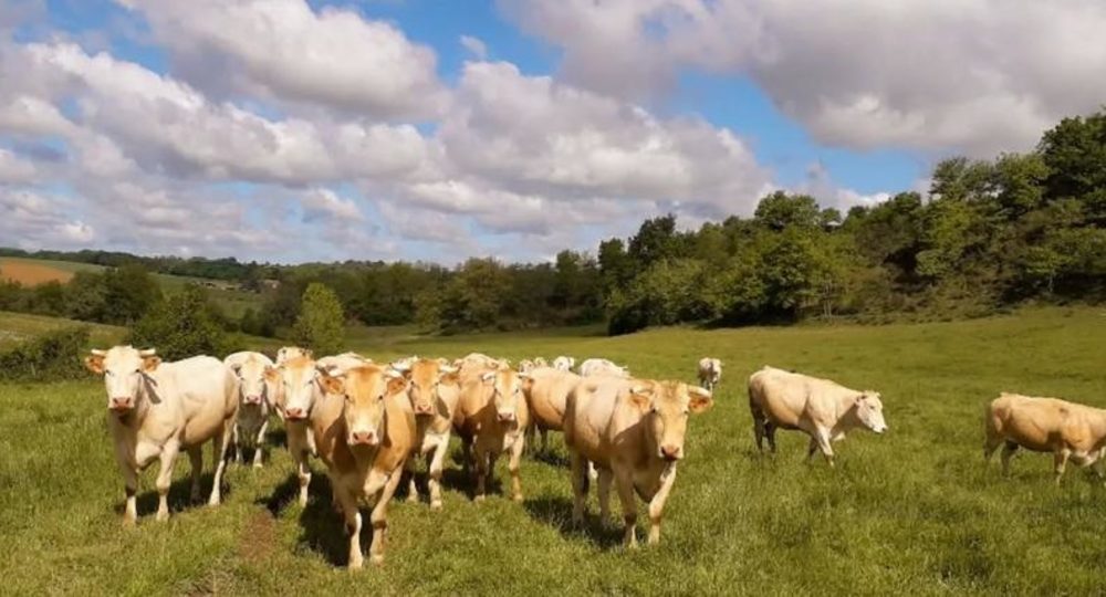Maison Fourcade_Loubersan