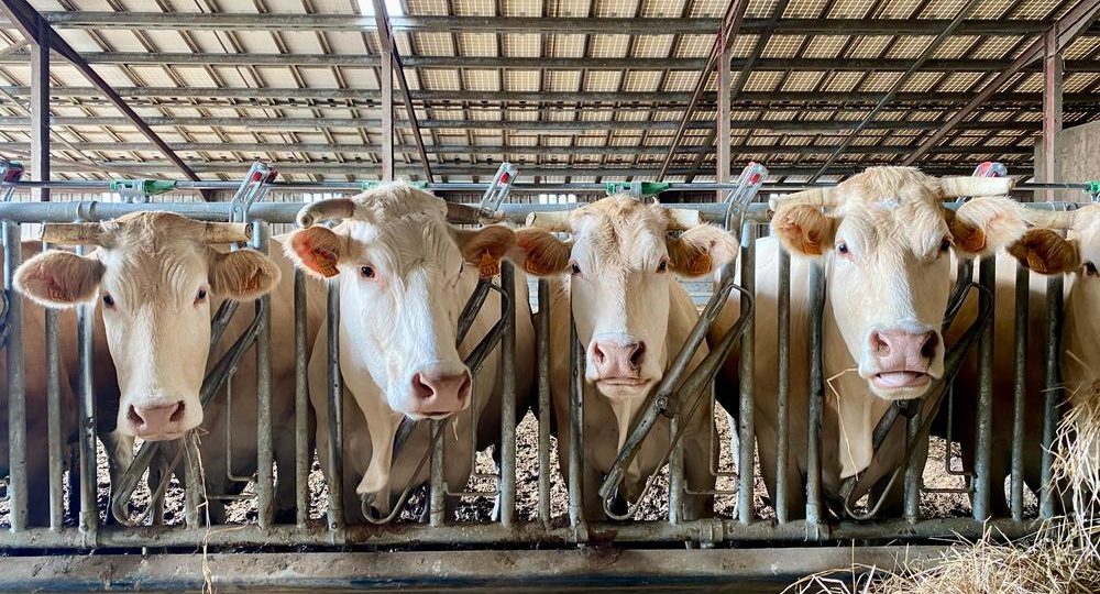 Maison Fourcade_Loubersan