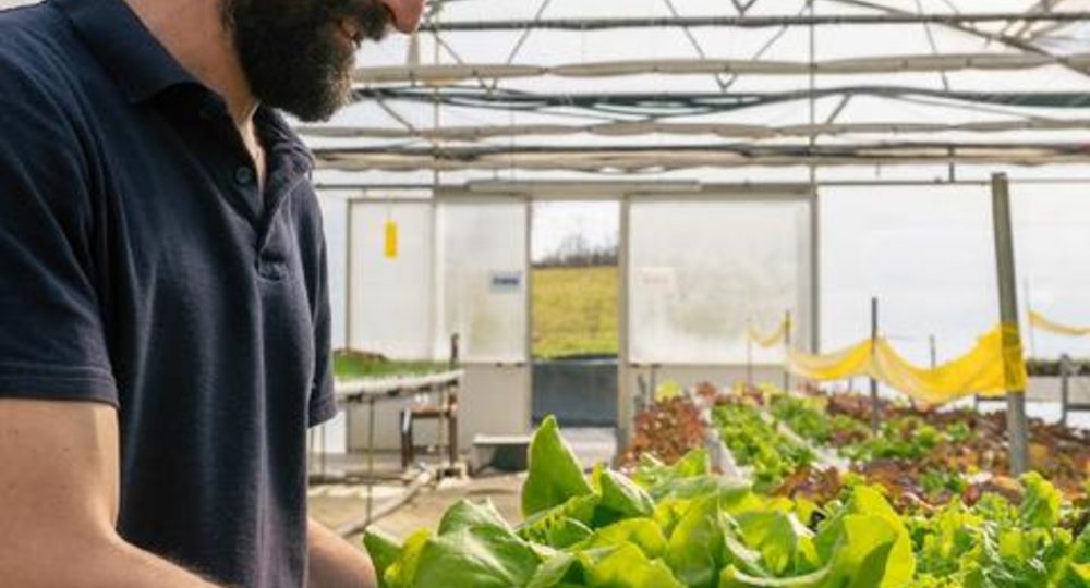 Visite de la ferme aquaponique EAUZONS !_Aux-Aussat