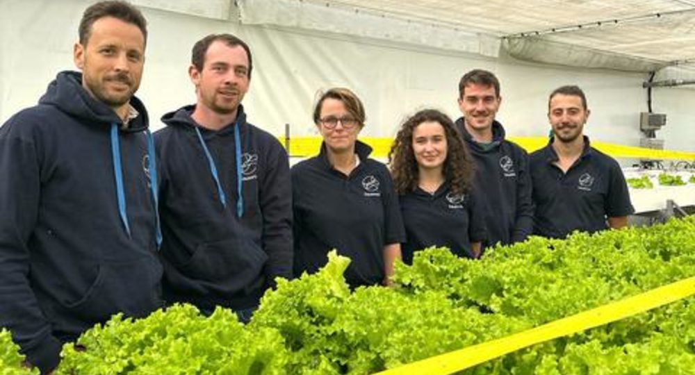 Visite de la ferme aquaponique EAUZONS !_Aux-Aussat