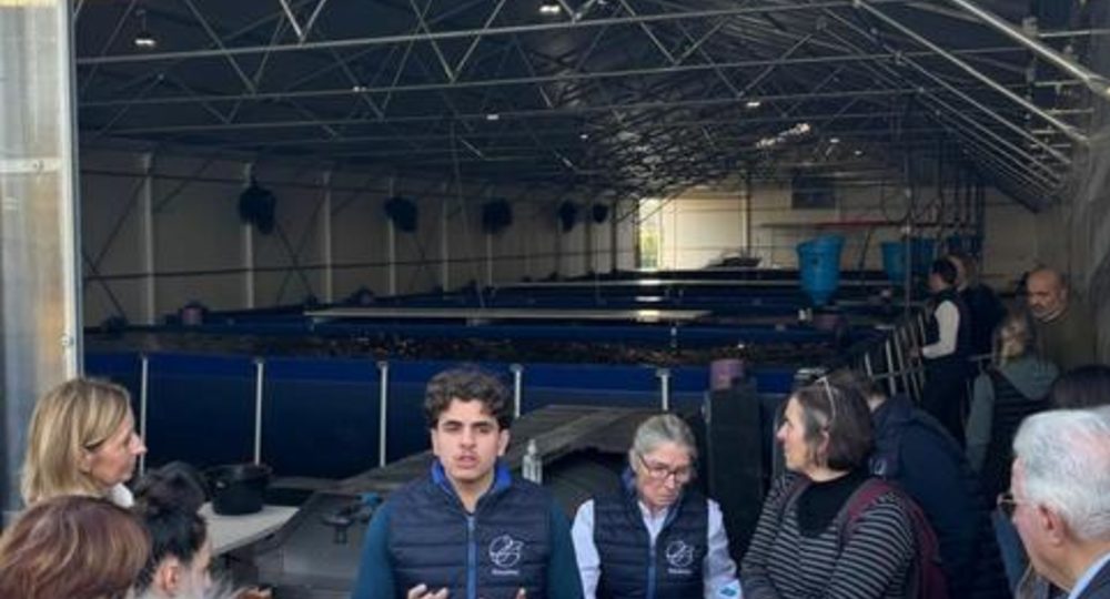 Visite de la ferme aquaponique EAUZONS !_Aux-Aussat