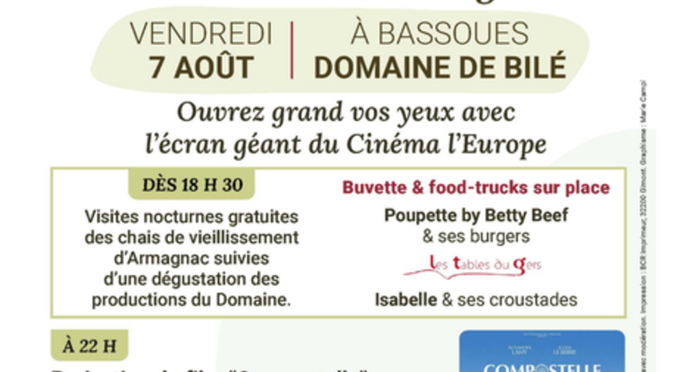 Cinéma en plein air 