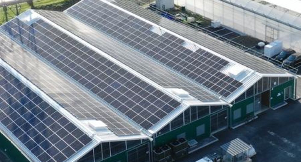 Visite de la ferme aquaponique EAUZONS !_Aux-Aussat