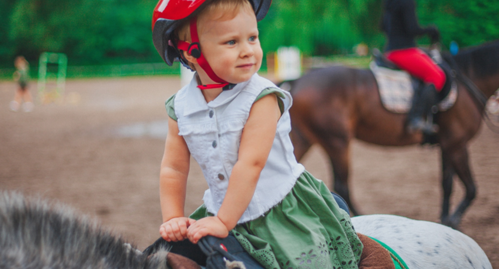 Baby poney_Saint-Christaud