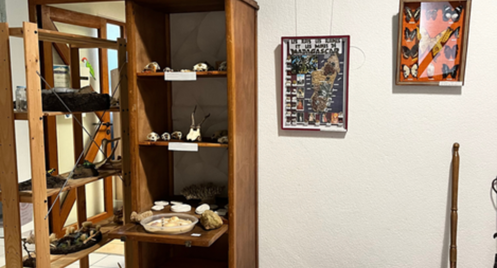 Cabinet de curiosités_Mirande