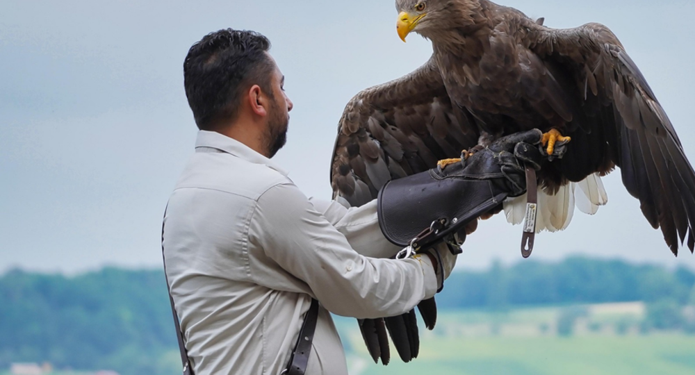 Les Aigles de Gascogne chez Betty Beef_Mascaras