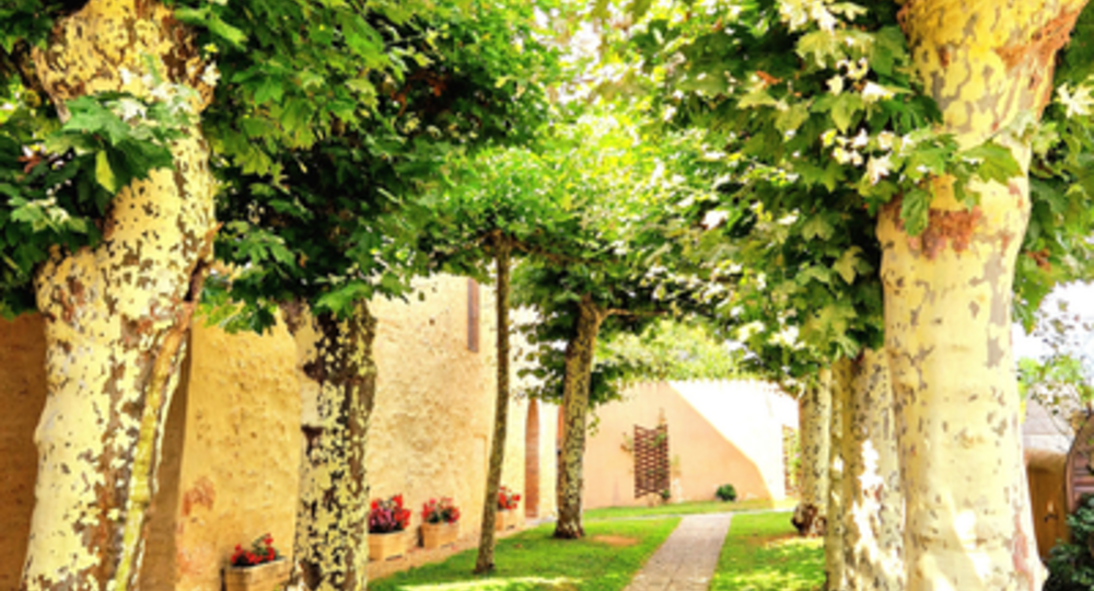 Village de Mouchès_Mouchès