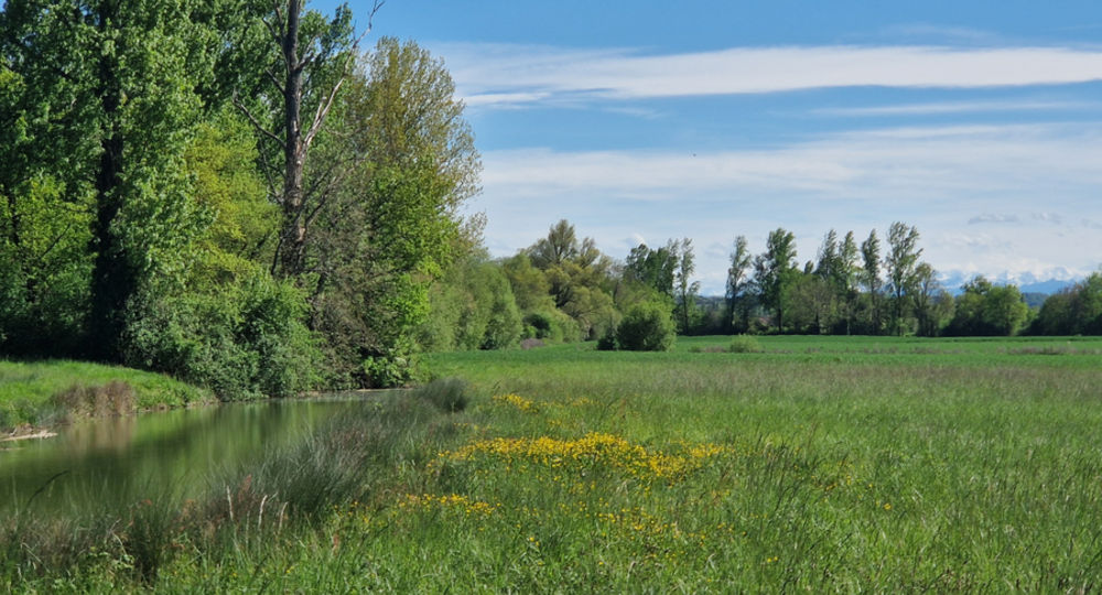 Village de Mouchès_Mouchès