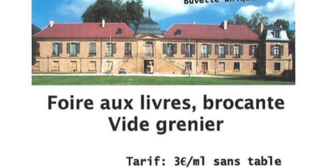 Foire aux livres, brocante et vide-grenier_L'Isle-de-Noé