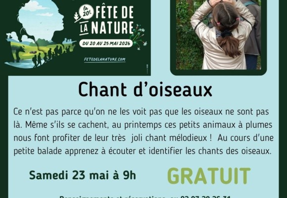 chant oiseaux