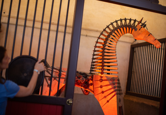 HARASHENNEBONT©QAPTURxSellor_Haras_Été-12