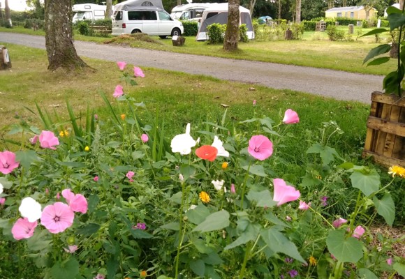 EMPLACEMENT CAMPING LE LAC O FEES