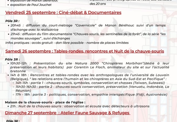 Programme 20 ans version définitive