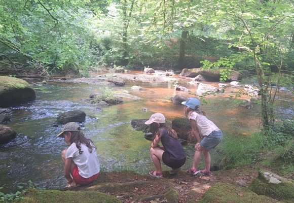 p'tites betes du cours d'eau