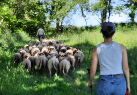 vers la calotte saint Joseph