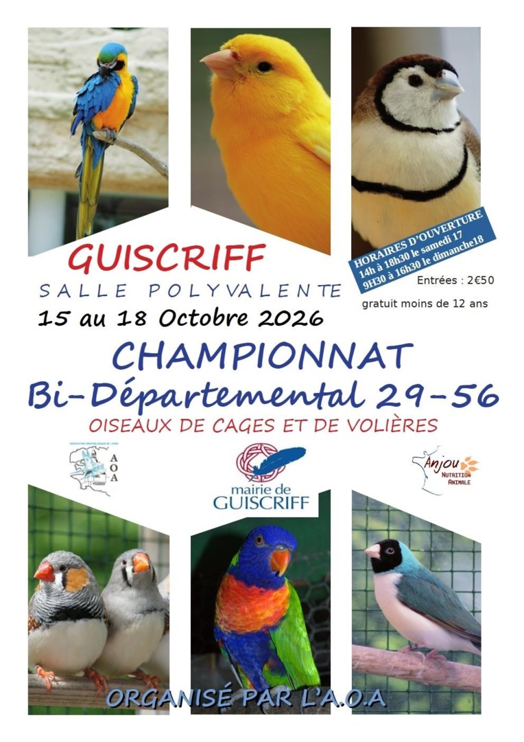2026_Octobre_Guiscriff_Championnat_Oiseaux