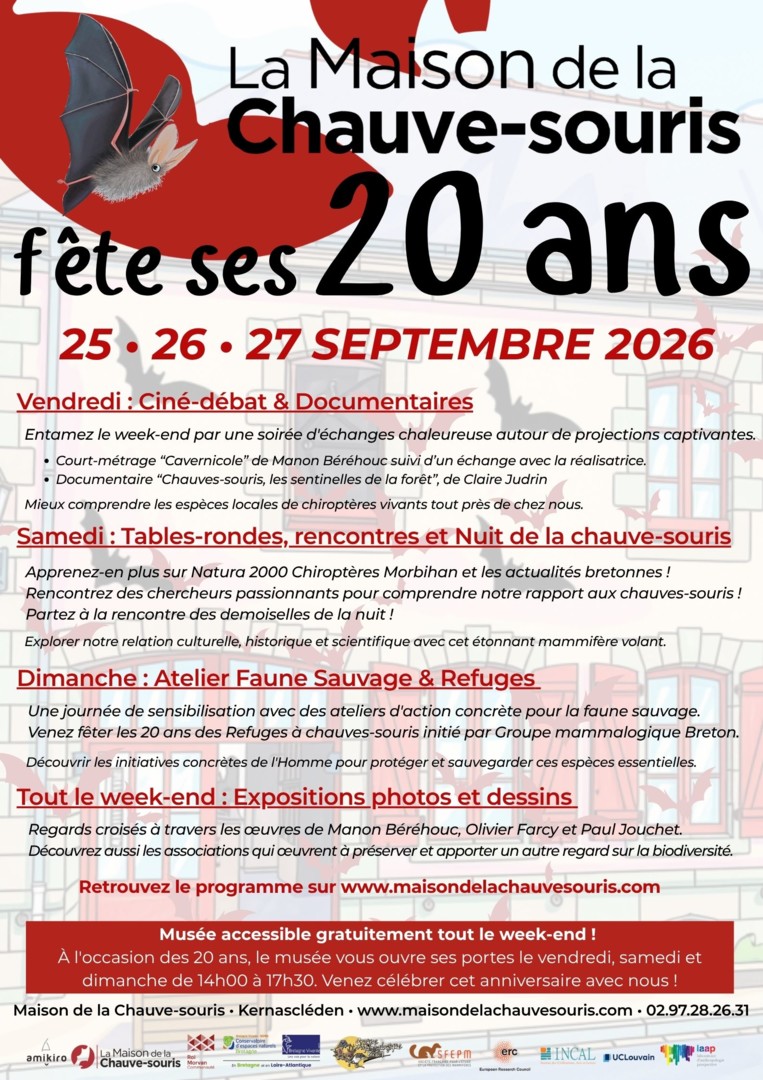 Affiche MCS 20 ans version définitive