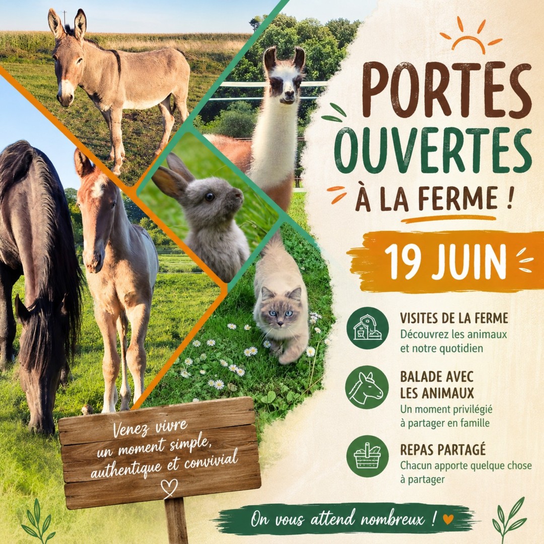 JPO 19/06