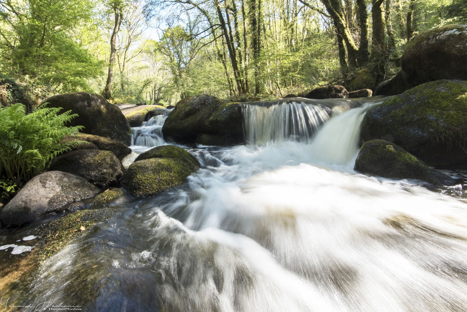 L'Ellé POSE LONGUE 1
