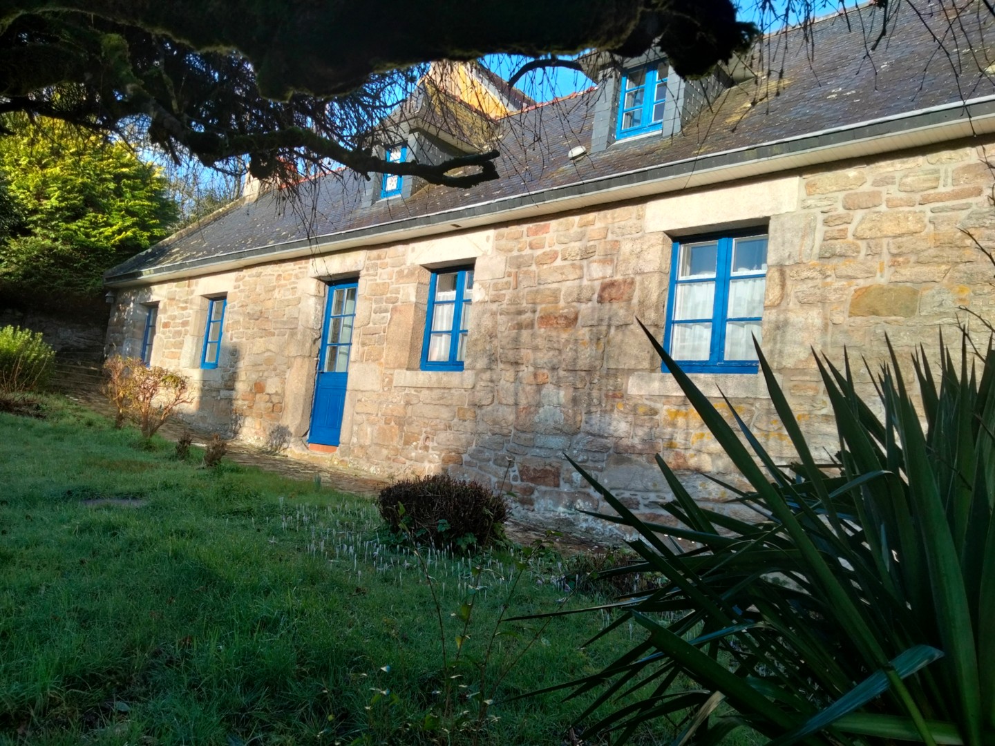 Maison