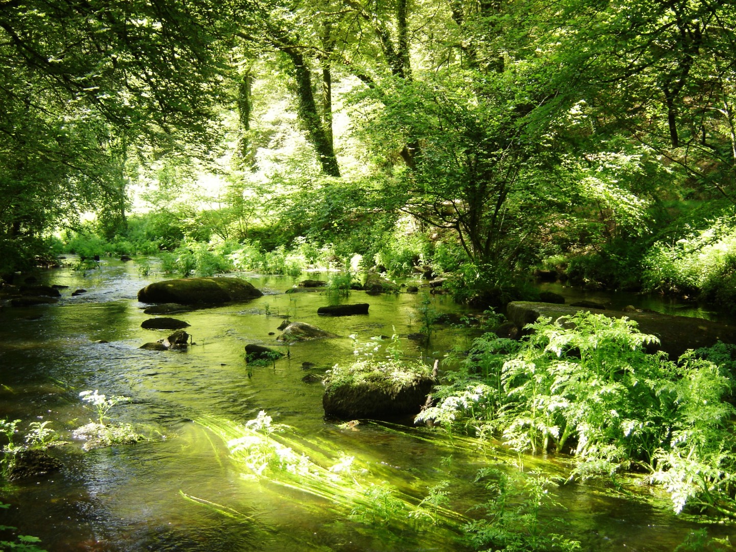 Circuit de Pontkalleg