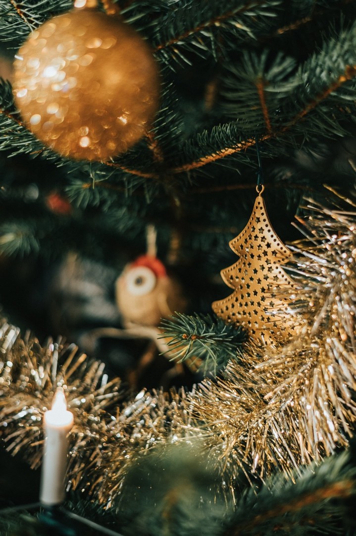 krim_gaouaoui-christmas-5859689_1280©Pixabay