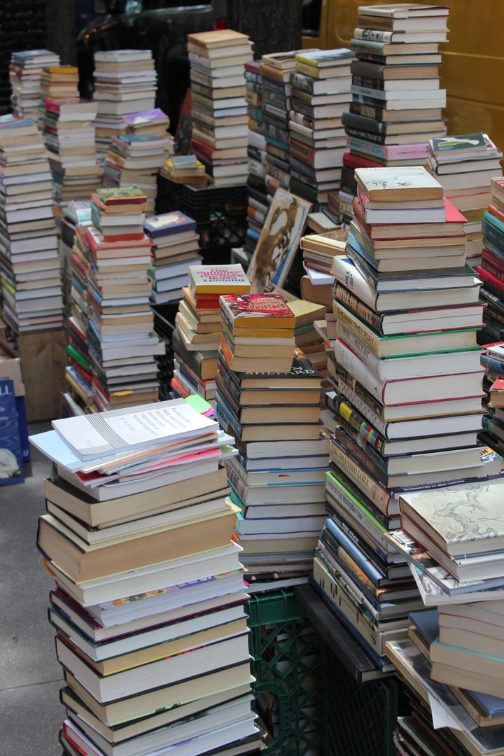 paulinah-books-752657_1280© PaulinaH_Pixabay
