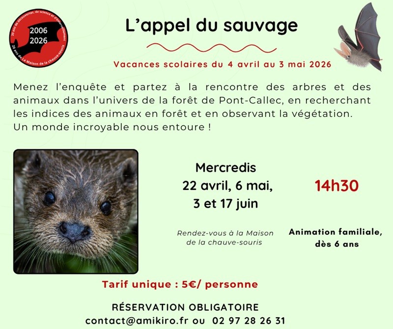 sortie nature AS 800px