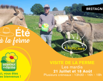 Eté à la ferme