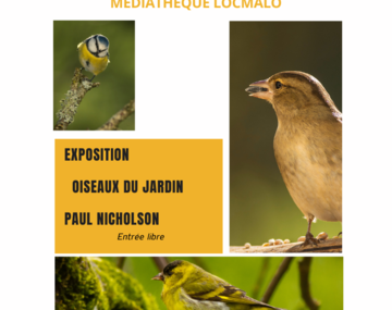 Exposition interactive « Oiseaux de nos jardins »