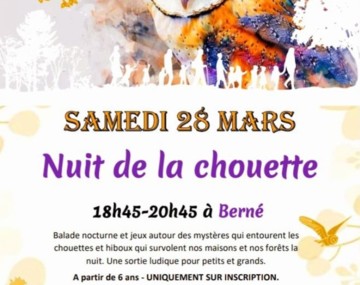 Nuit de la chouette