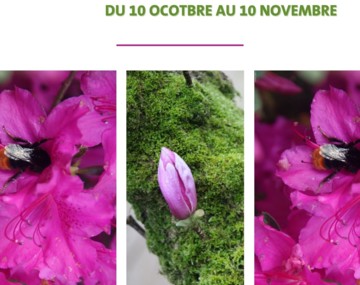 Expo de Laëticia Kerhuiel
