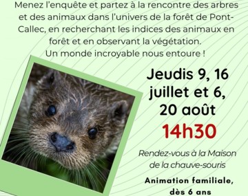 Sortie nature L'appel Sauvage