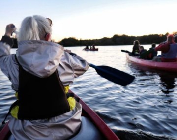 Balade nocturne chauve-souris