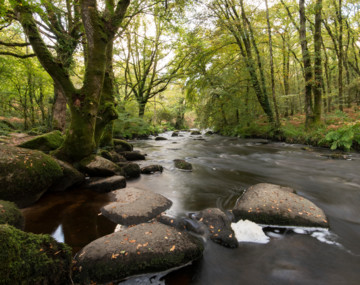 Balade géologique : vallée de l'Ellé & bois de Ste Barbe