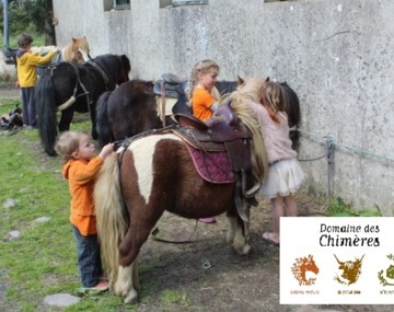 Atelier équimotricité de 18 mois à 6 ans