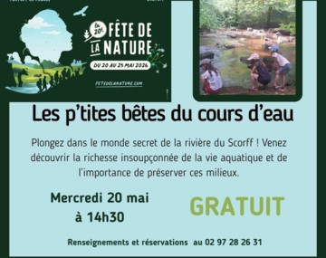 Fête de la nature : animations entre rivière et forêt