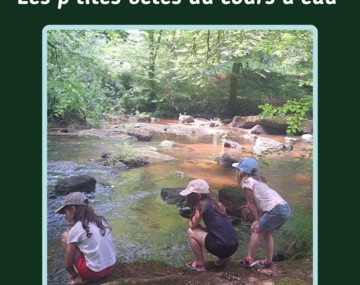 Fête de la Nature : sortie petites bêtes du cours d'eau