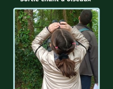 Fête de la Nature : chant d'oiseaux