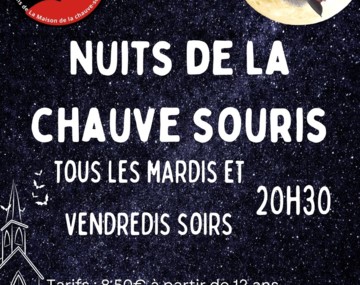 Nuit de la chauve-souris