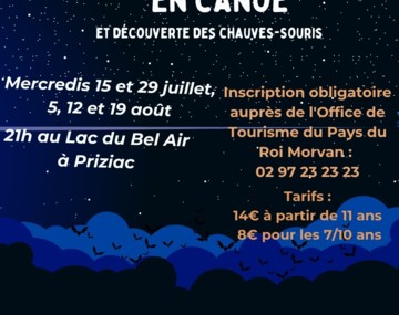 Balade nocturne chauve-souris