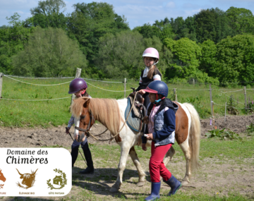 Balades en main à poney ou cheval
