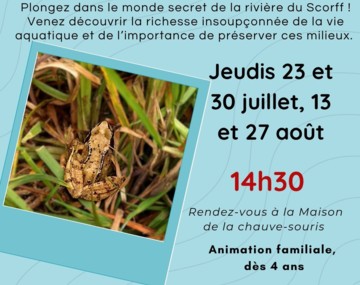 Sortie Nature Les p'tites bêtes du cours d'eau